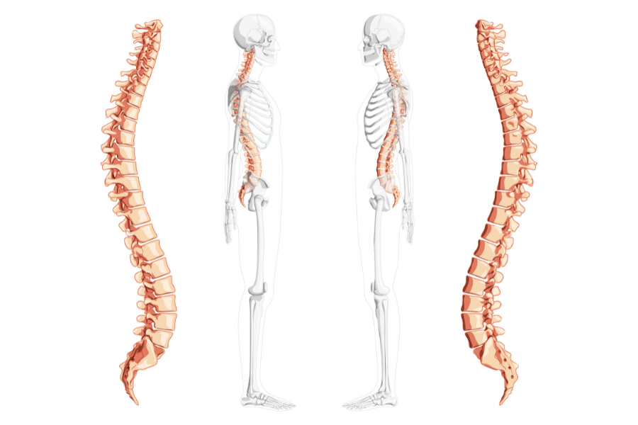 Where is neutral spine and why does it matter?